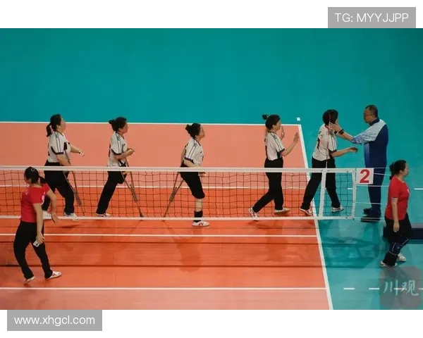 广州排球队现状揭秘：排球巨献背后的奋斗与荣耀