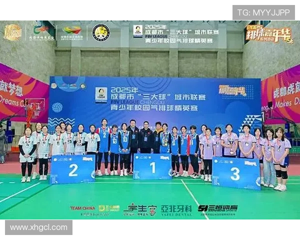 成都排球队技术争议引发热议球迷与专家各抒己见探讨战术选择